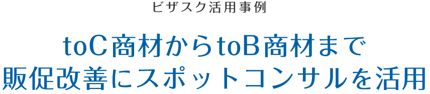 ビザスク活用事例　ユーザーインタビューに活用